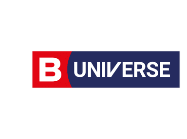 B Universe