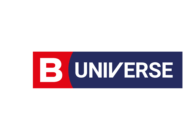 B Universe