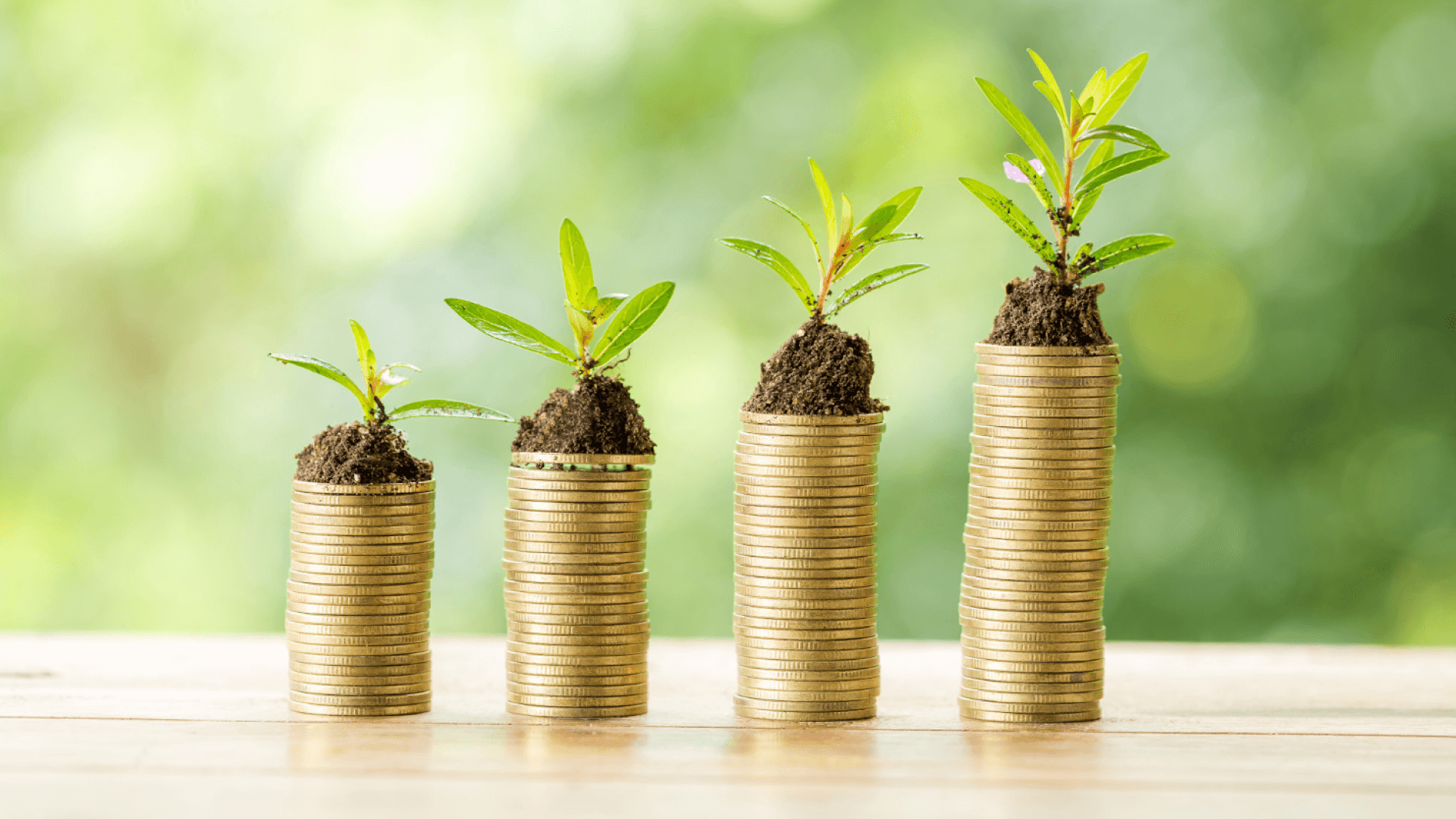 Make Your bussiness Grow with Syariah Ways