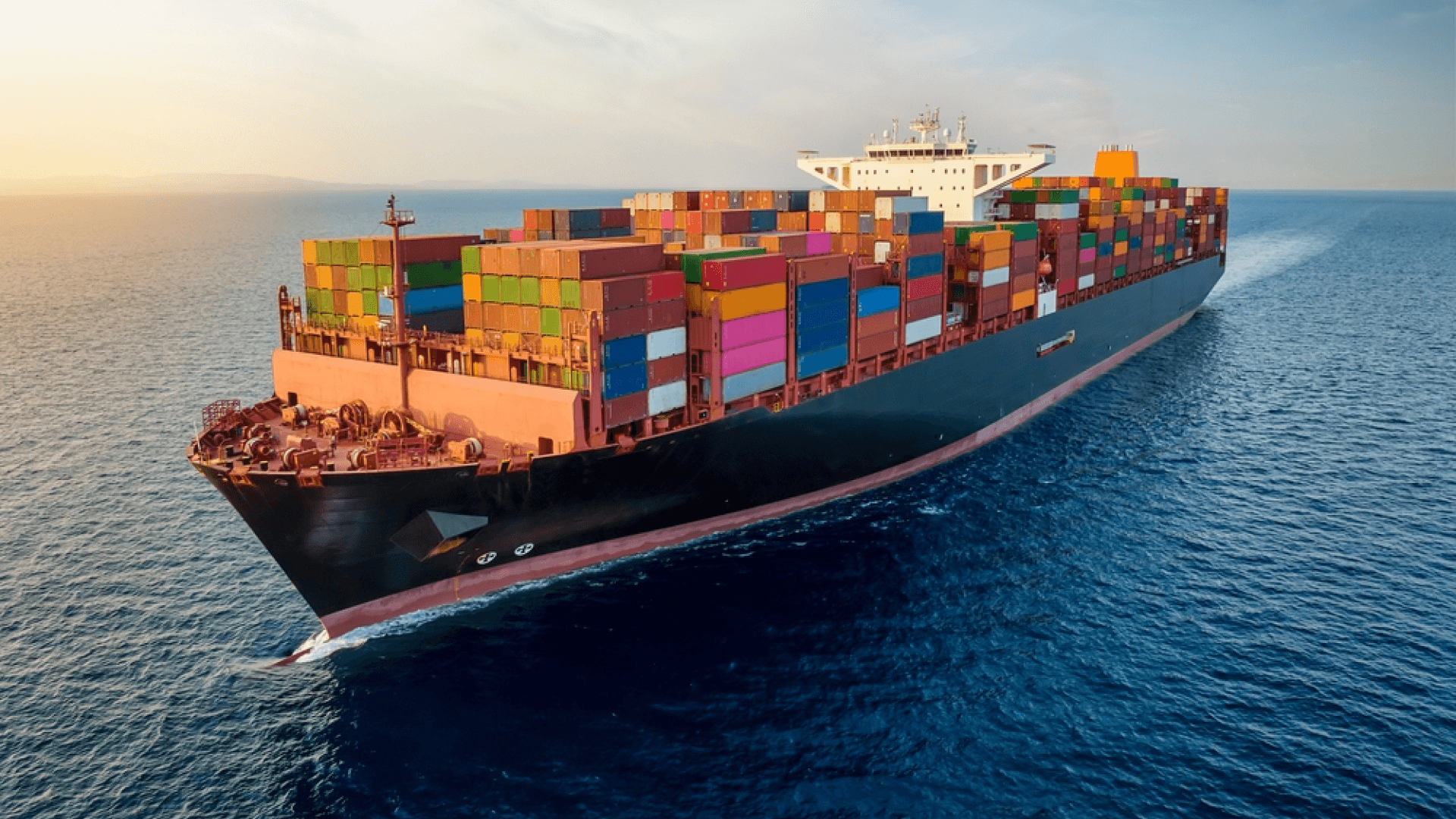 Key Industry Stakeholder Halal Export Indonesia